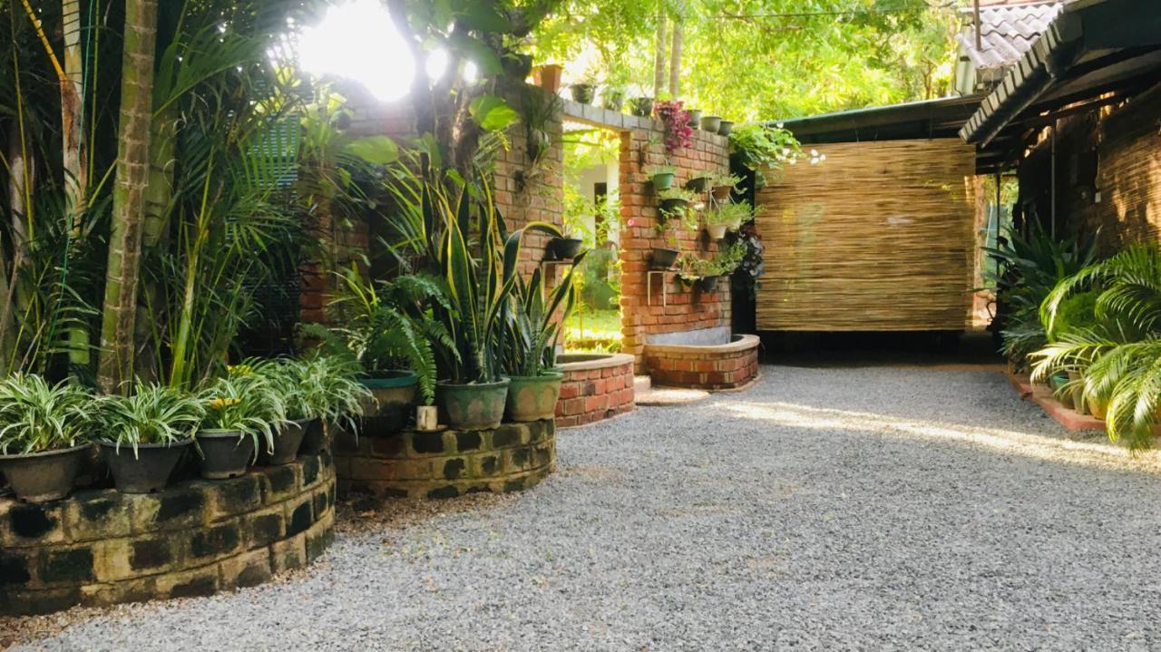 Mowgli Cottage Sigirîya Extérieur photo